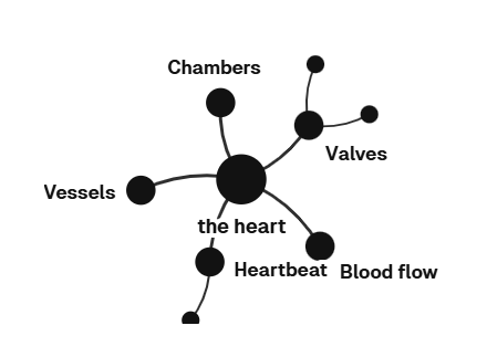 A topic as a map: the heart in the middle, its chambers, valves and vessels around it